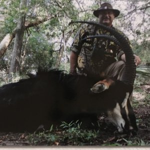 Sable Hunt Mozambique