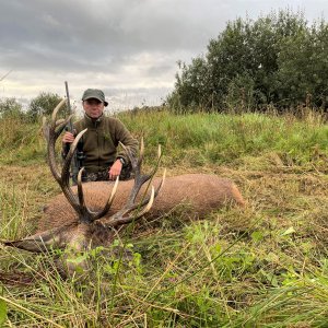 Red Stag Hunt Poland