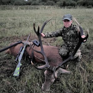 Red Stag Hunt Poland