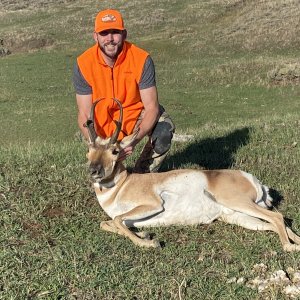 Pronghorn Hunting Colorado