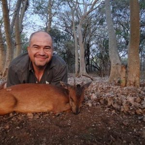 Red Duiker Hunting