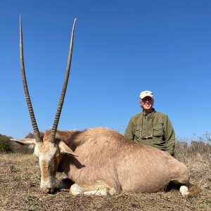 Golden Gemsbuck Hunt South Africa