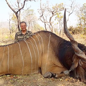 Lord Derby Eland Hunting Cameroon