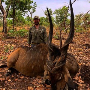 Lord Derby Eland Hunting Cameroon