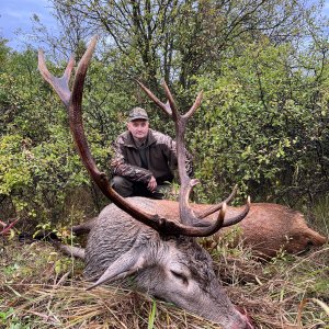 Red Deer Hunt Romania