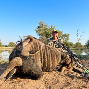 Blue Wildebeest Bow Hunt South Africa