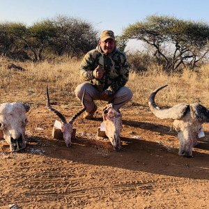 Trophy Hunting Limpopo South Africa