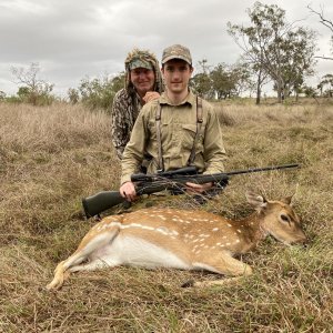 Chital Deer Hunting Australia