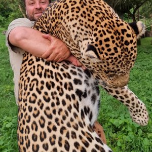 Leopard Hunting Uganda
