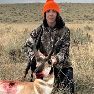 Pronghorn Hunt Wyoming