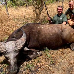 Western Buffalo Hunting Cameroon