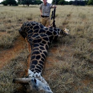 Black Giraffe Hunt South Africa