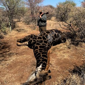 Black Giraffe Hunt South Africa