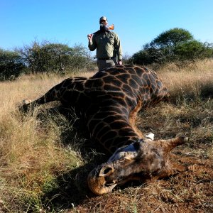 Black Giraffe Hunt South Africa