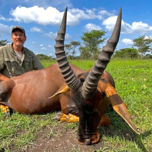 Tsessebe Hunt Uganda