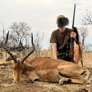 Impala Hunt Zimbabwe