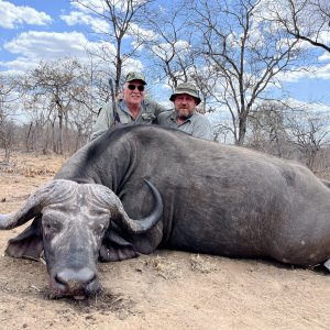 Buffalo Hunt Mozambique