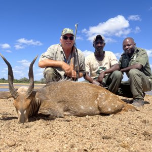 Bushbuck Hunt Mozambique