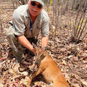 Red Duiker Hunt Mozambique