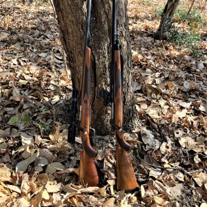 Winchester Safari Model 70 In 375 H&H Rifle
