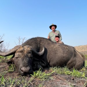 Buffalo Hunting South Africa