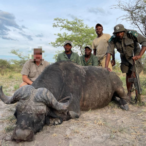 Buffalo Hunt Namibia