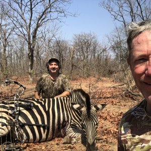 Zebra Hunt Zimbabwe