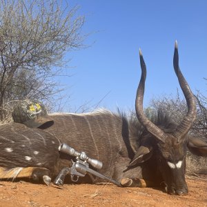 Nyala Handgun Hunt South Africa