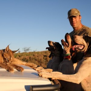 Caracal Hunt Mozambique