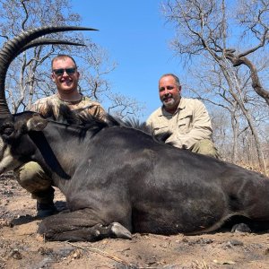 Roosevelt Sable, Niassa Special Reserve, Block L9, Kwalata Safaris