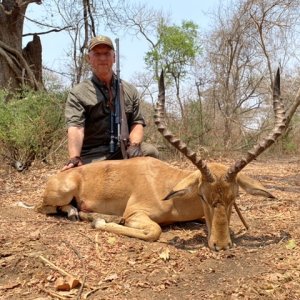 Impala Hunting Zambia