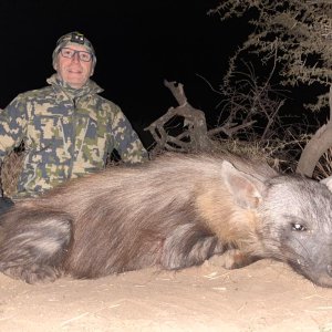 Brown Hyena Hunt South Africa