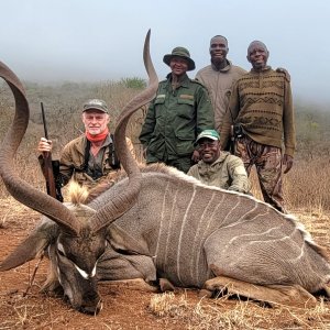 Greater Kudu Hunt Tanzania