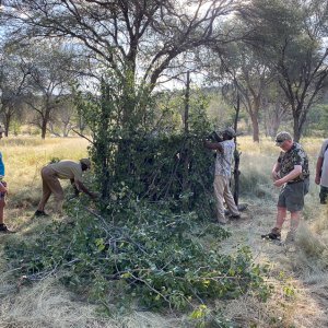 Building Leopard Blind Namibia