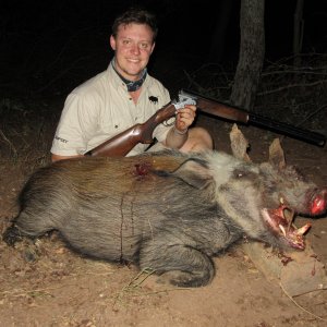 Bushpig Boar