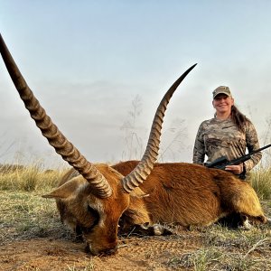 Lechwe Hunt South Africa