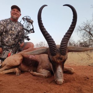 Copper Springbok Bow Hunt Limpopo South Africa
