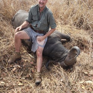 Buffalo Hunting Mozambique