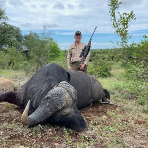 Buffalo Hunt Klaserie Private Nature Reserve South Africa