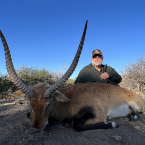 Lechwe Hunt Karoo South Africa
