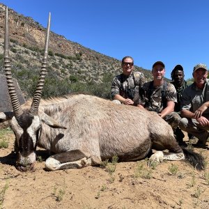 Gemsbok Hunt Karoo South Africa