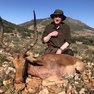 Impala Hunt Karoo South Africa