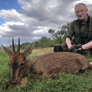 Duiker Hunt Karoo South Africa