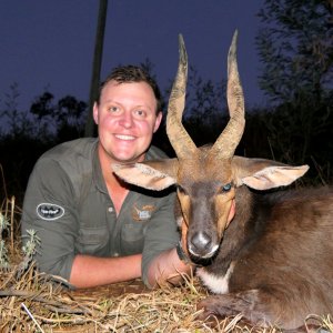 Bushbuck ram