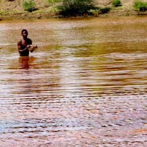 Searching for a crocodile