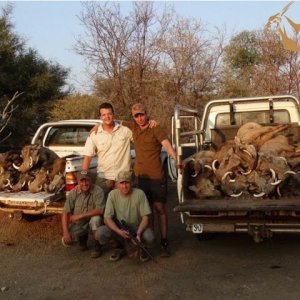 Warthog cull with Bayly Sippel Safaris