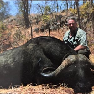 Buffalo Hunt Zimbabwe