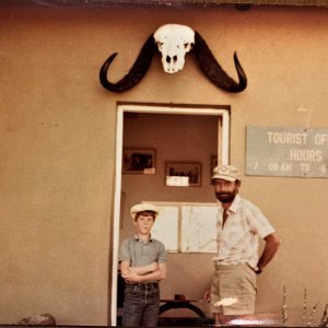 Cape Buffalo Skull Hwange National Park