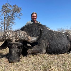 Buffalo Hunting