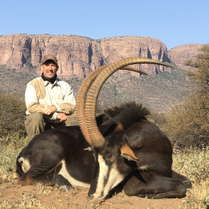 Hunting Sable Limpopo South Africa